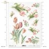 tulipan, kwiat, ogród, łąka, wiosna, R959, flower, garden, meadow, spring, Blume, Garten, Wiese, Frühling, flor, jardín, prado, primavera, tulipán, Tulpe, tulip 